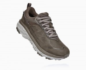 Brown Hoka Challenger Low GORE | 61209YMGE