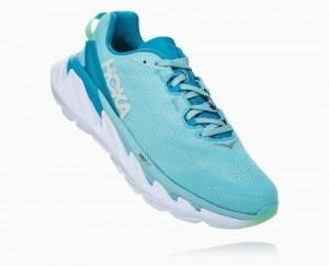 Brown / Blue Hoka Elevon 2 | 54360DNJY