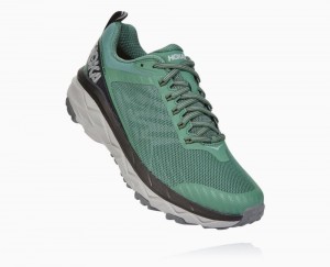 Grey Hoka Challenger ATR 5 Wide | 89172KRTP