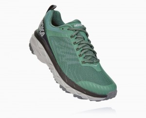 Grey Hoka Challenger ATR 5 | 73092BQES