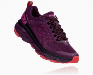 Purple / Red Hoka Challenger ATR 5 | 92056WCHD