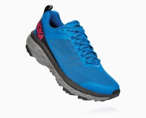 Royal Blue / Pink Peacock Hoka Challenger ATR 5 Wide | 20481CZSD