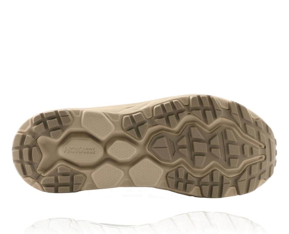 Brown Hoka Challenger Low GORE | 04821QIBZ