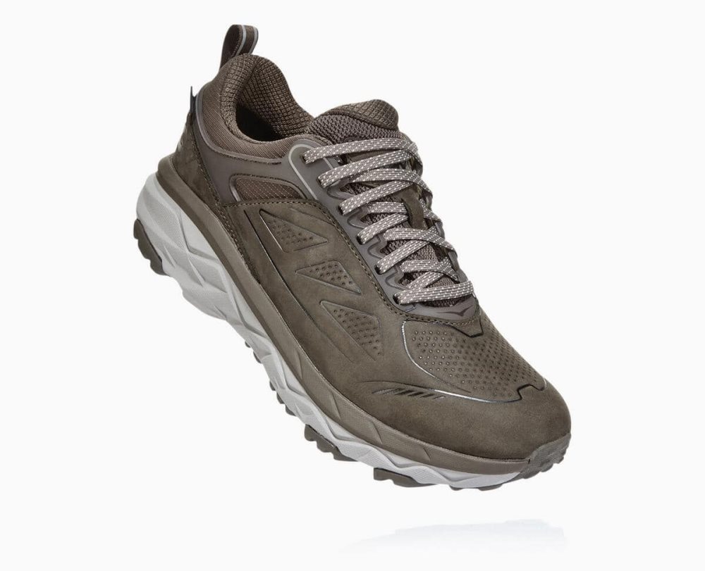 Brown Hoka Challenger Low GORE | 24105TJWQ