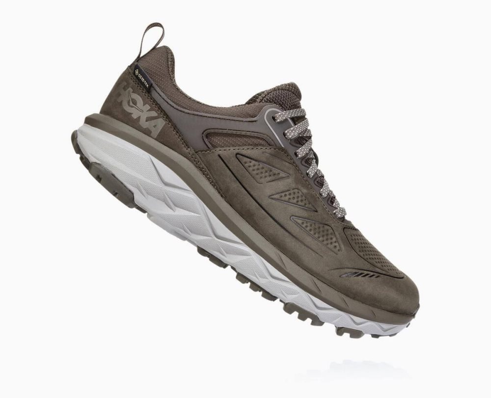 Brown Hoka Challenger Low GORE | 61209YMGE