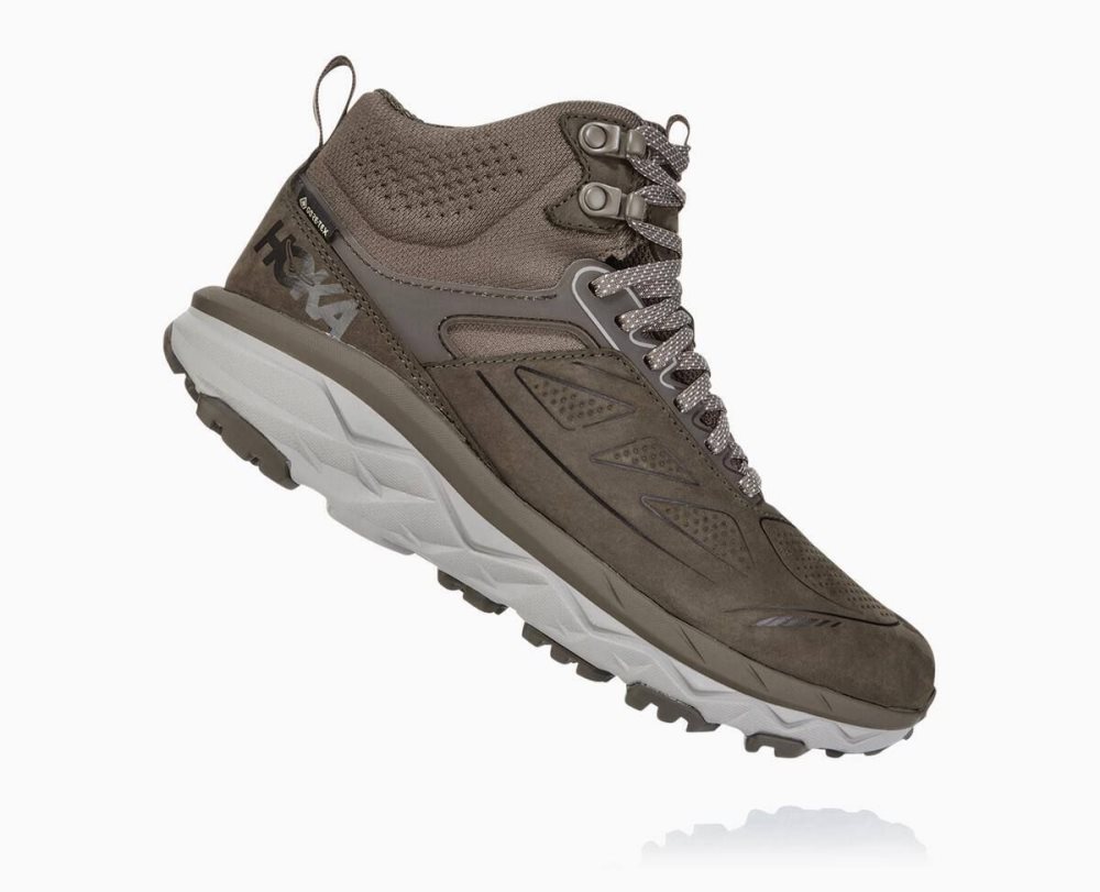 Brown Hoka Challenger Mid GORE | 68245JLDV