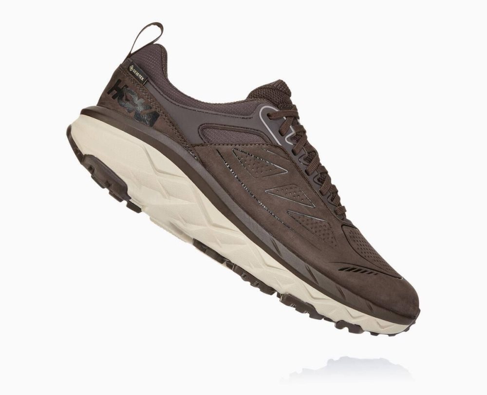 Coffee Hoka Challenger Low GORE | 90748OMIP