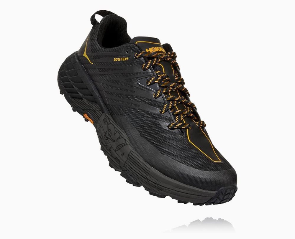 Dark Grey / Dark Grey Hoka Speedgoat 4 GORE | 62409CVND