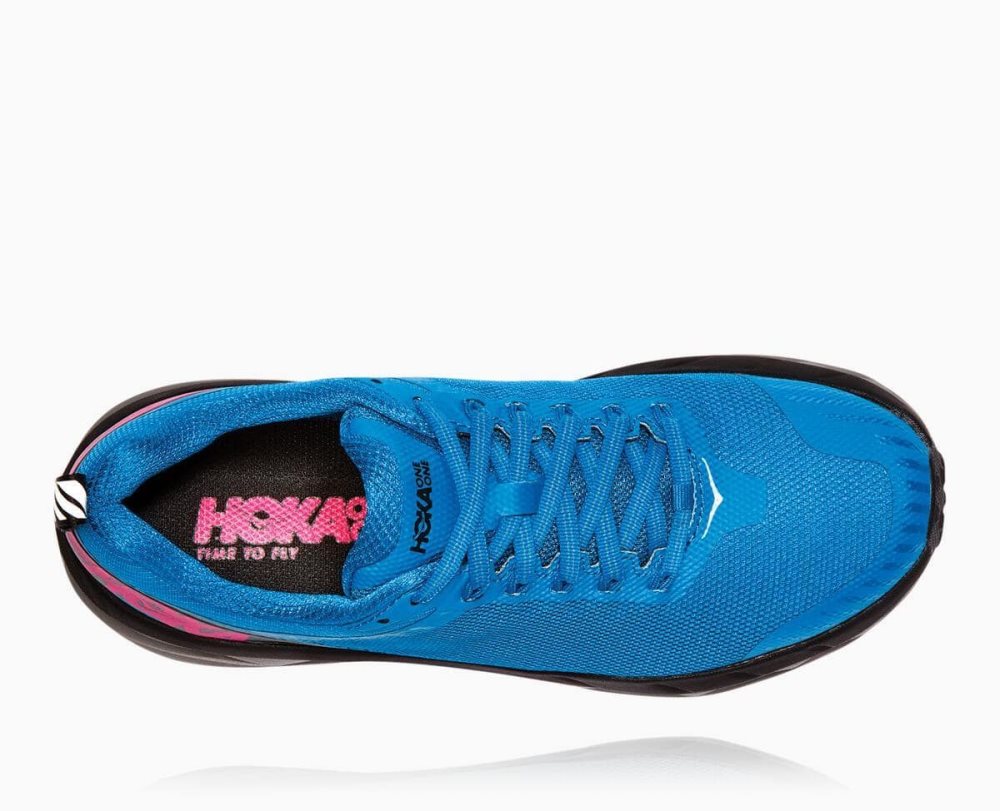 Royal Blue / Pink Peacock Hoka Challenger ATR 5 | 94162IDLJ