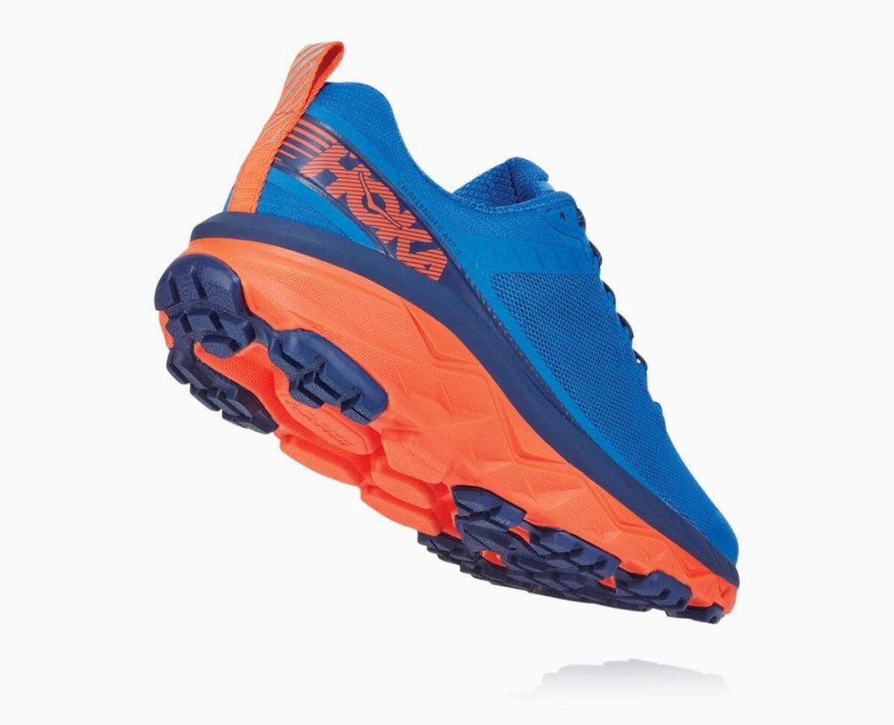 Royal Blue / Red Hoka Challenger ATR 5 Wide | 63052BNZQ